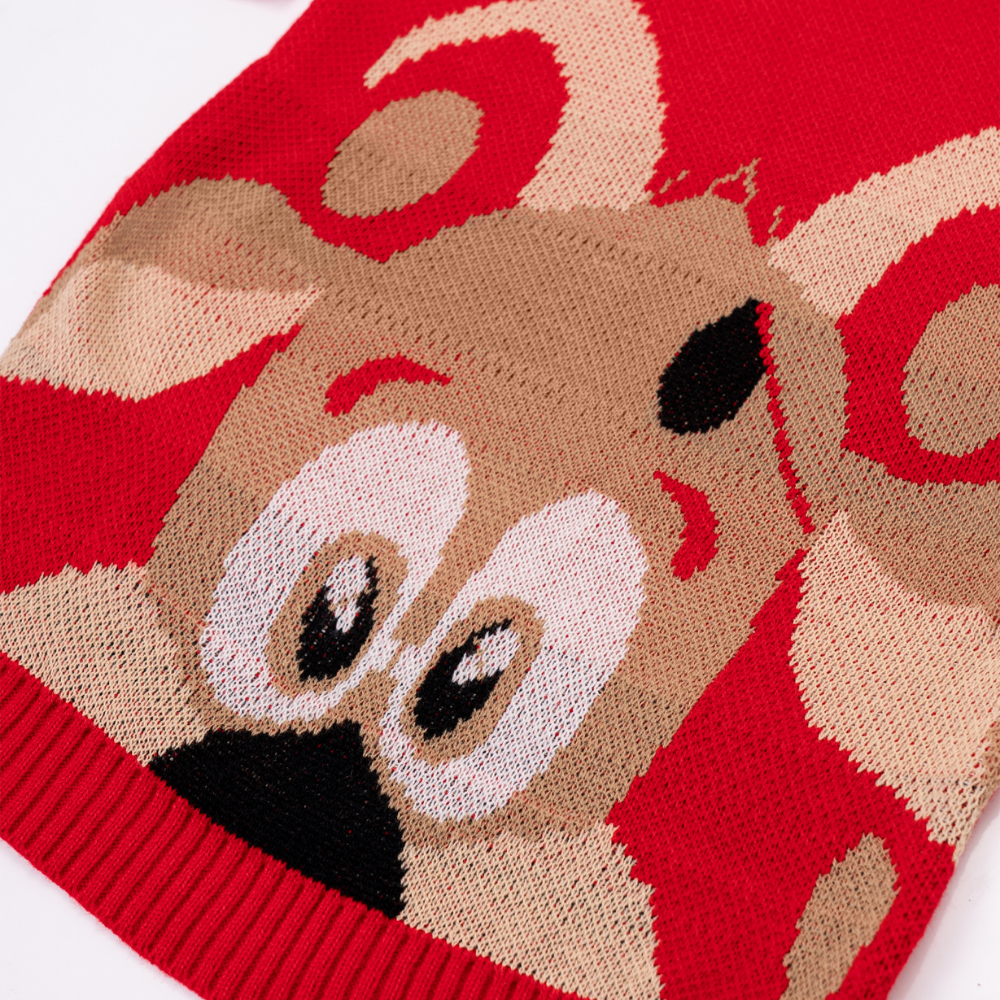 Rudolph Christmas Dress