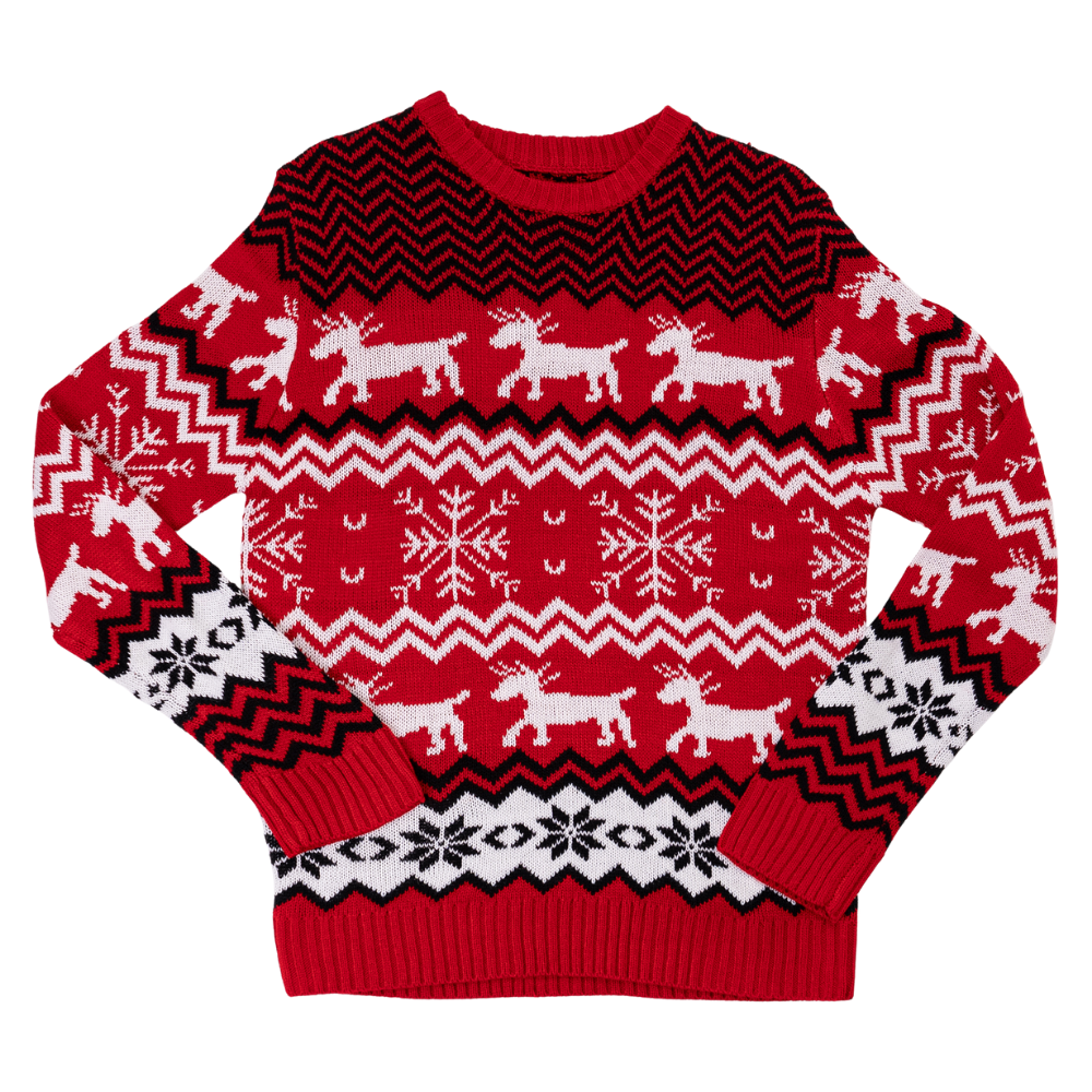 Christmas family sweater