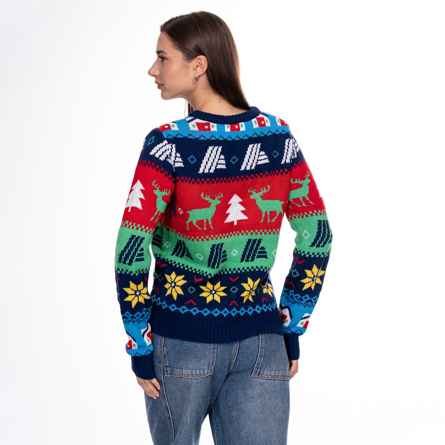 Christmas family sweater