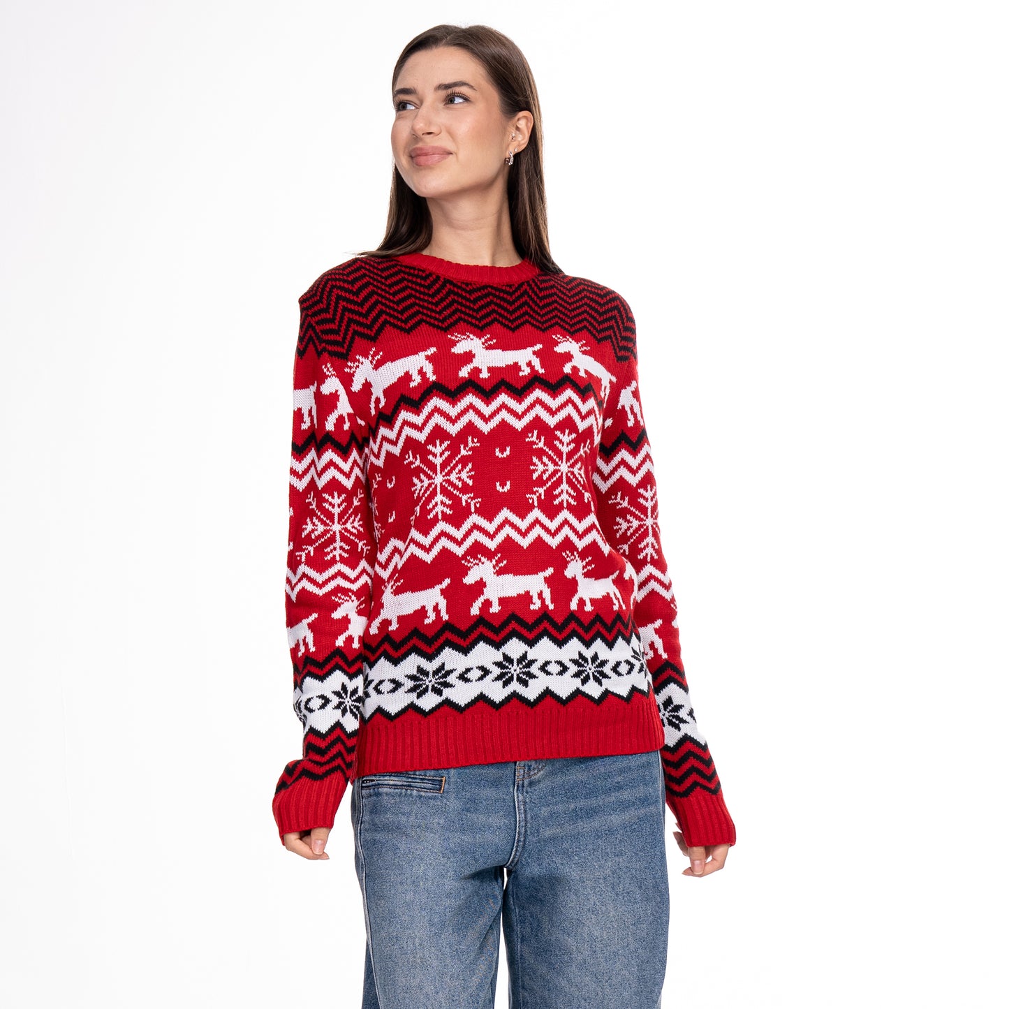 Christmas family sweater