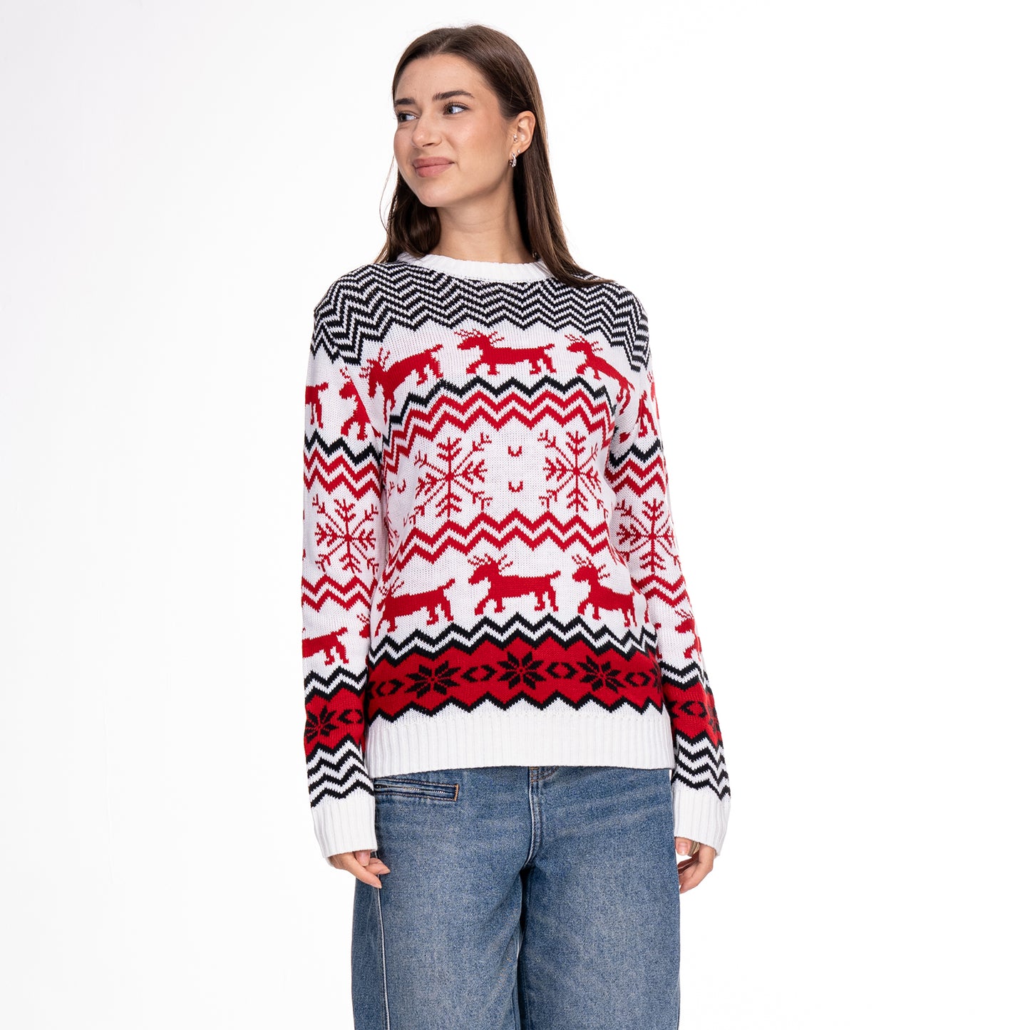 Christmas family sweater