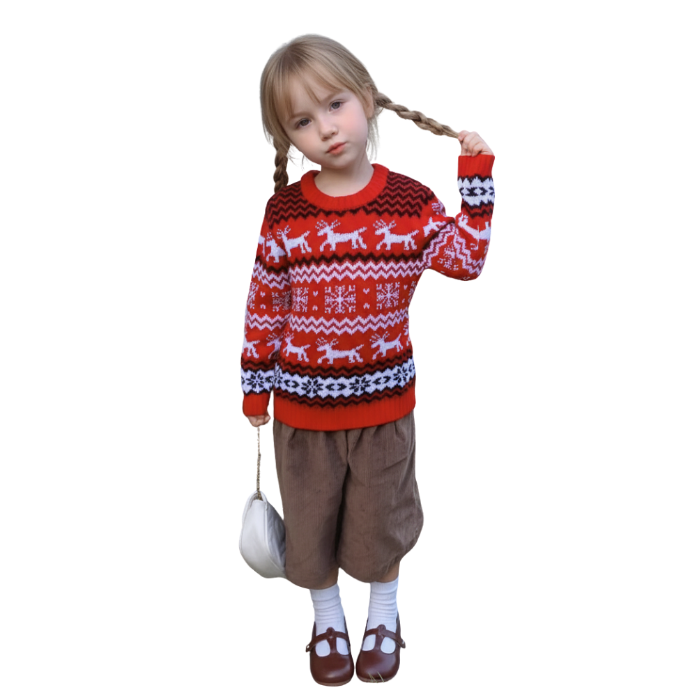 Christmas family sweater