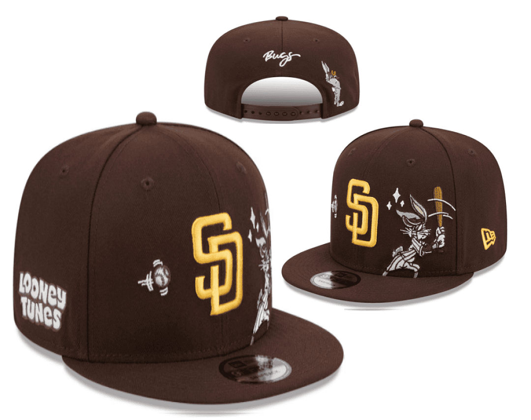 Brown Baseball Hat