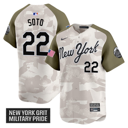 Alternate - Juan Soto