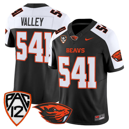 Black Alternate - Valley 541