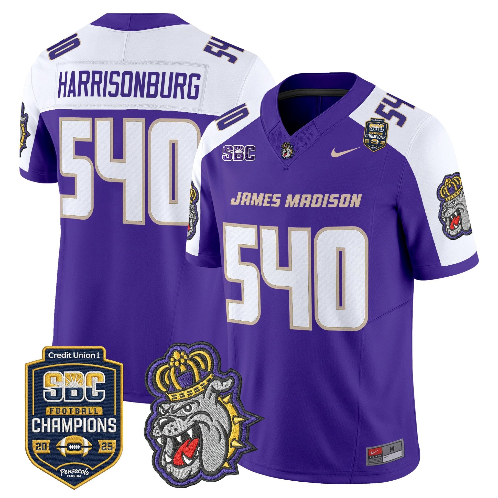 Purple Alternate - Harrisonburg 540