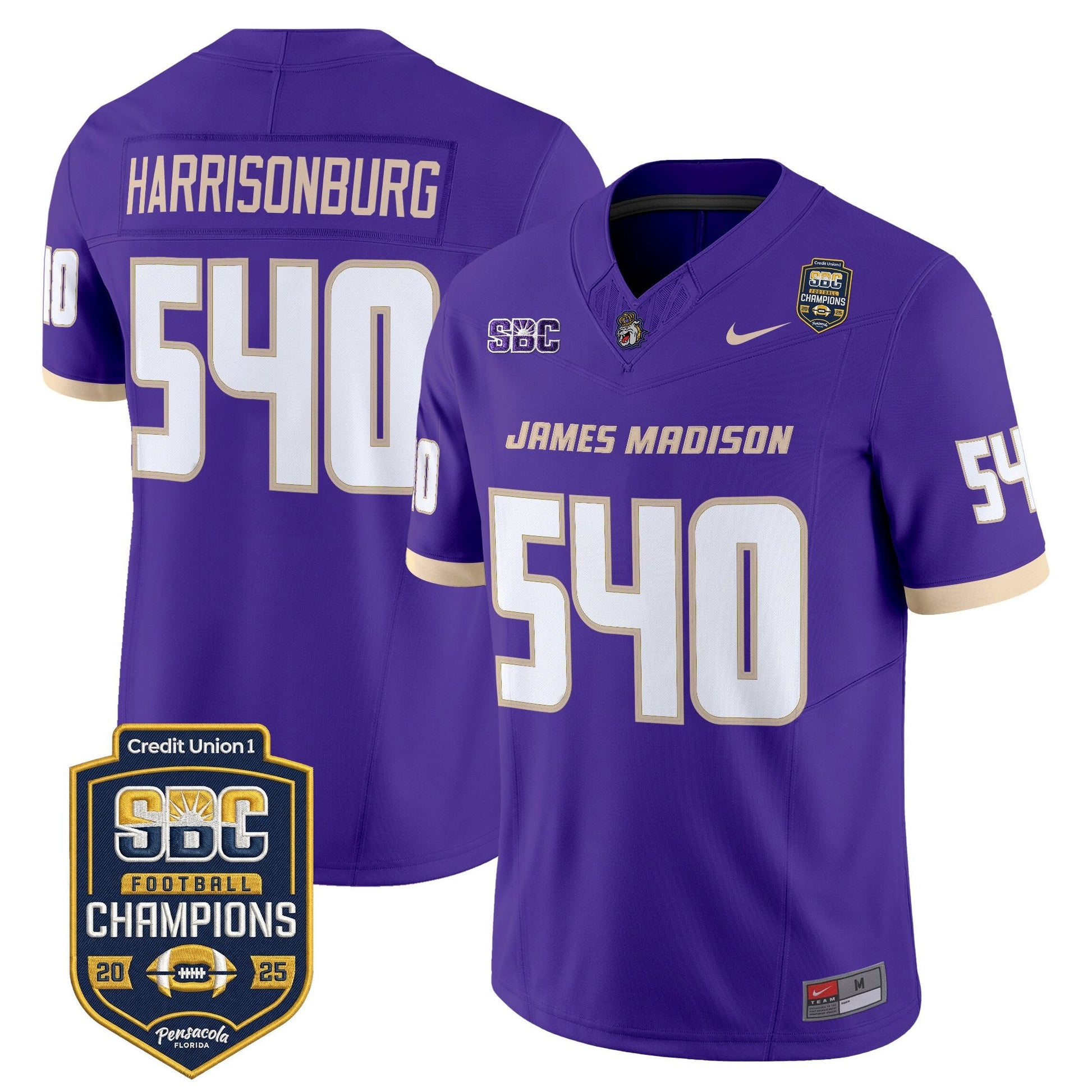 Purple - Harrisonburg 540