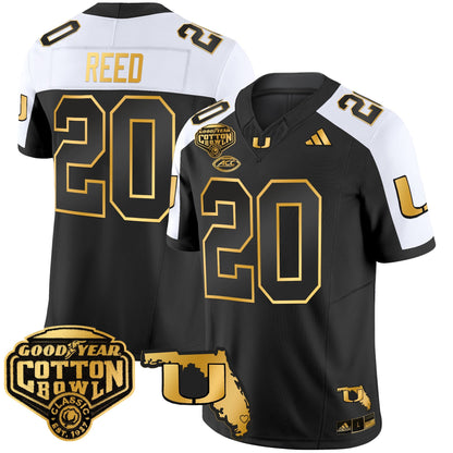Alternate - Ed Reed
