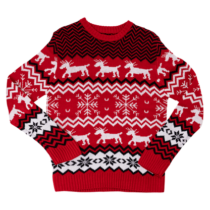 Christmas family sweater