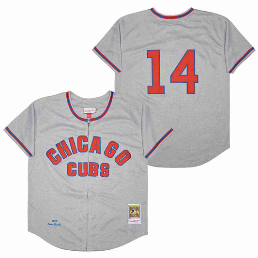 Retro Banks Baseball Jersey