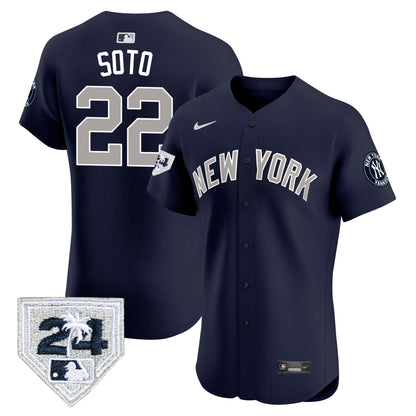 Alternate - Juan Soto