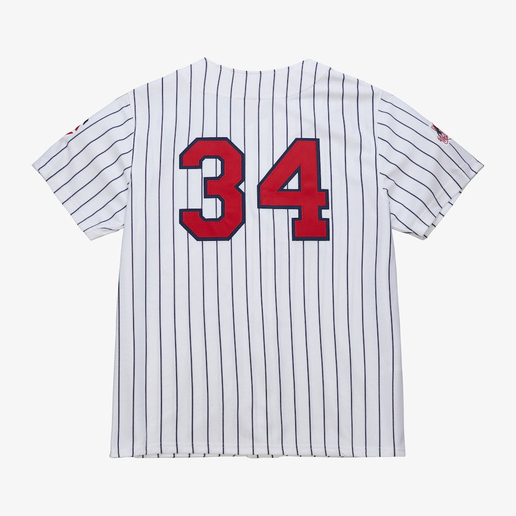 Retro Puckett Baseball Jersey (ships in 2-4 weeks)